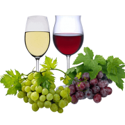 Section vin